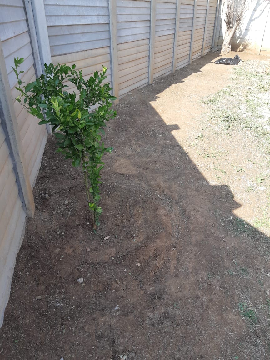3 Bedroom Property for Sale in Langenhovenpark Free State